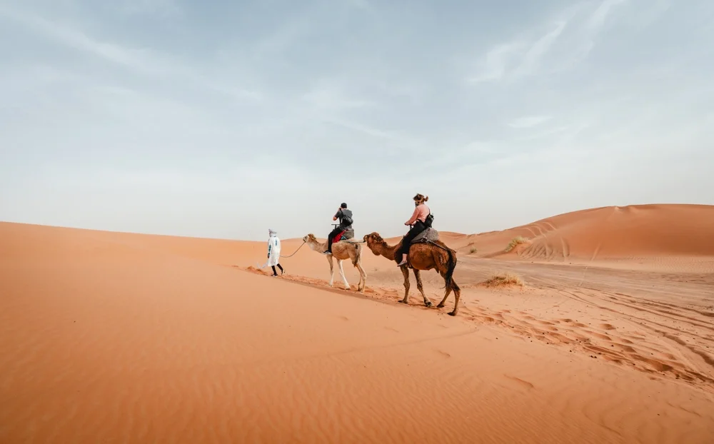 Imperial Cities desert tour - Camel trekking adventure