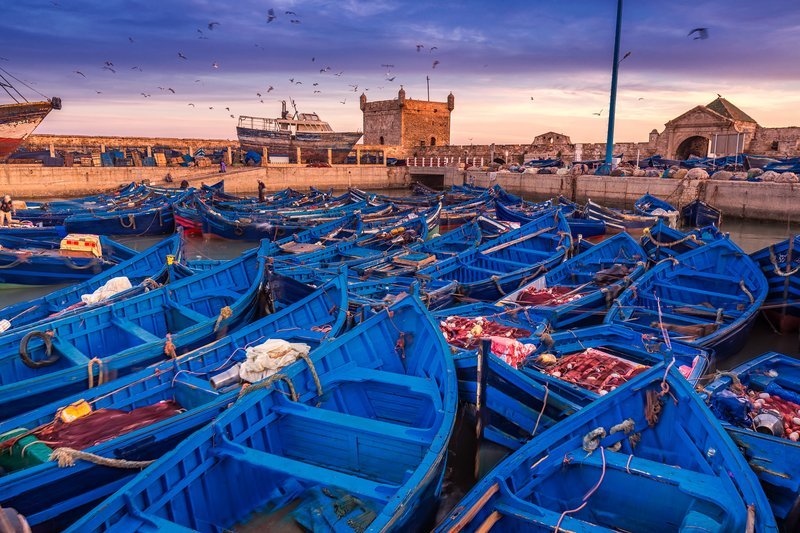 Blue boats at Essaouira port with traditional Moroccan architecture